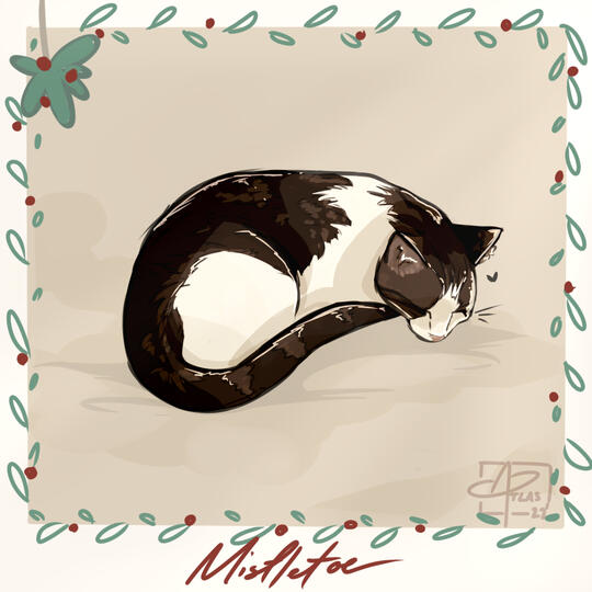 Mistletoe! My cat :)